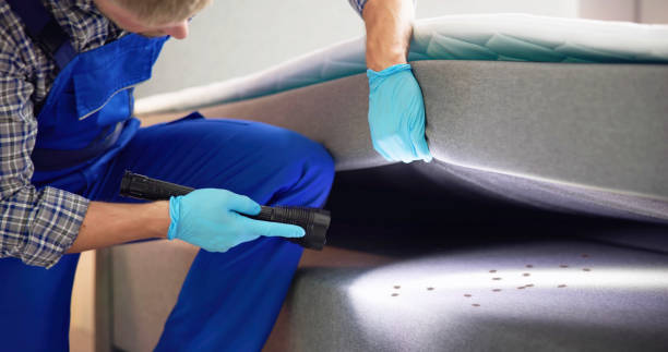 Best Emergency Pest Control  in Youngsville, LA