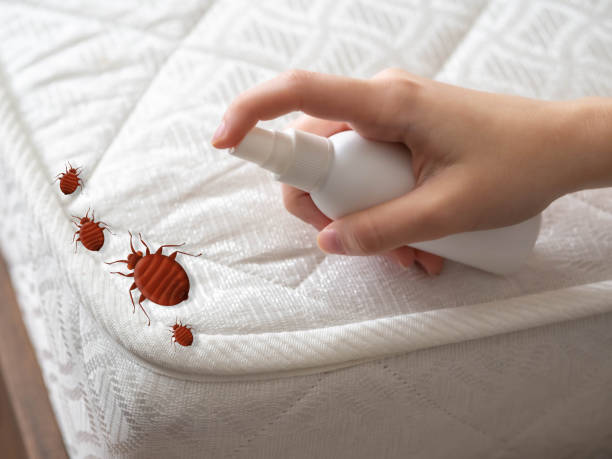 Professional Pest Control in Youngsville, LA