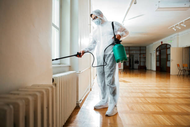 Best Pest Removal Services  in Youngsville, LA